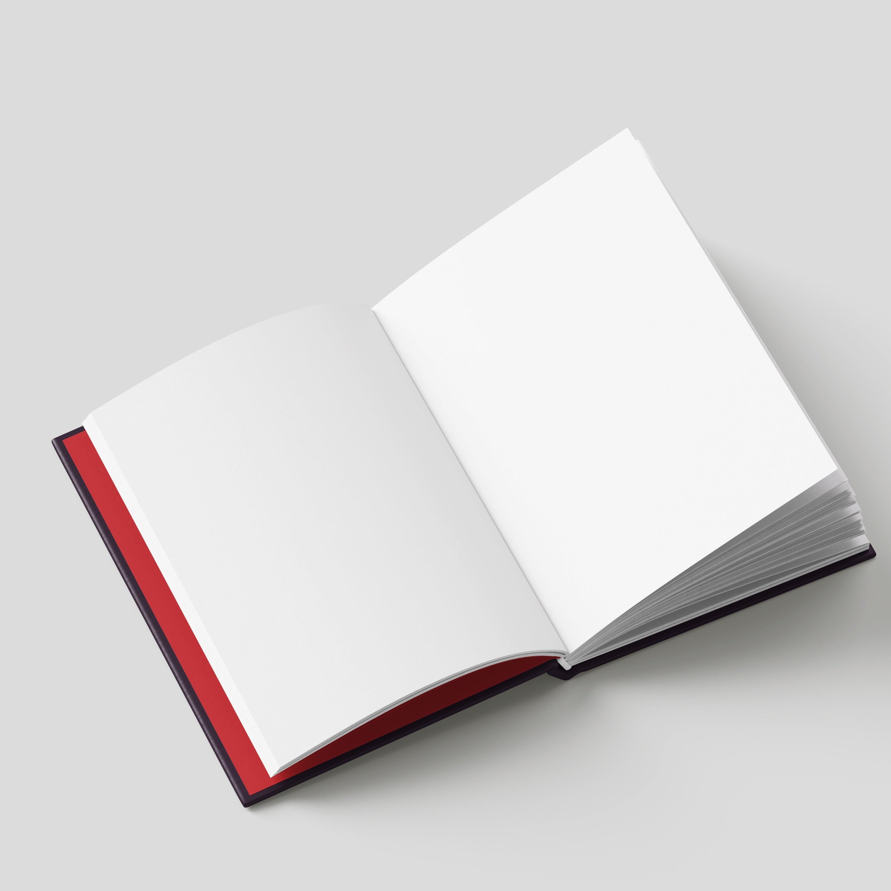 Diary for Evil Plans