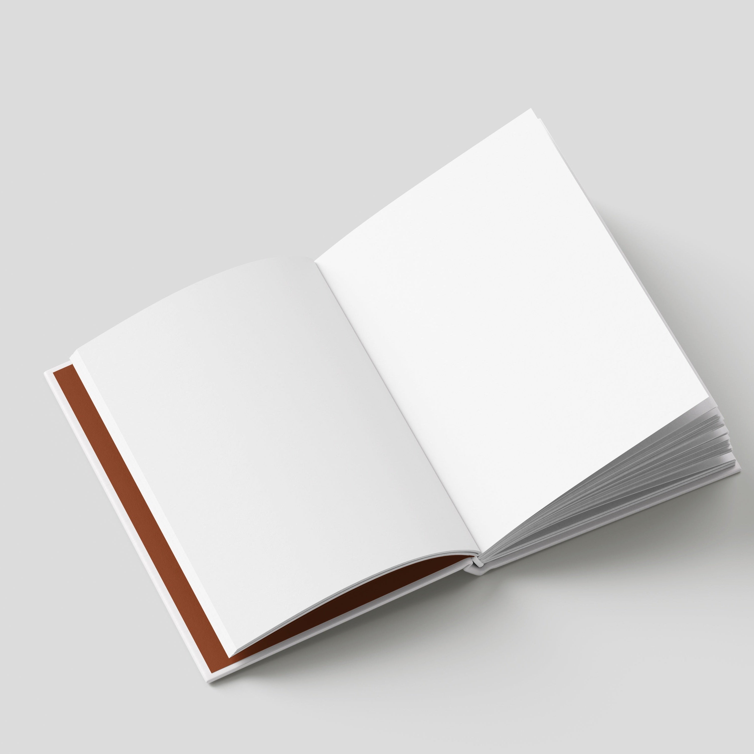 The Big Bang Diary