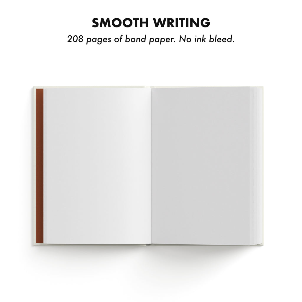 The Big Bang Diary